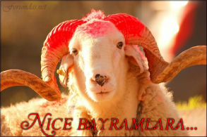KURBAN BAYRAMINIZI TEBRİK EDİYORUZ.